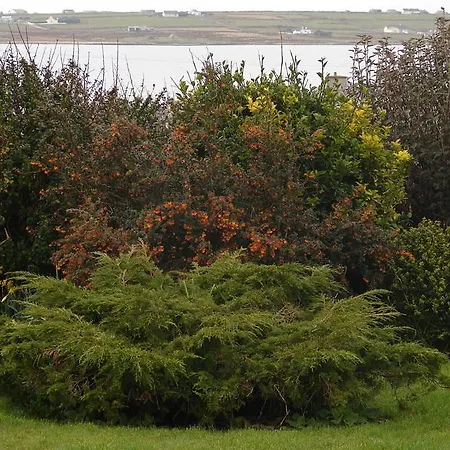 Drom Caoin B&B